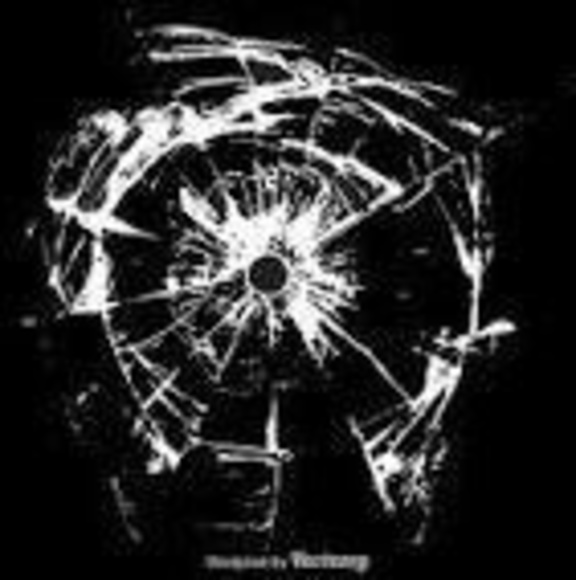 Meet your Posher, Jerry - Picture 1 of 1